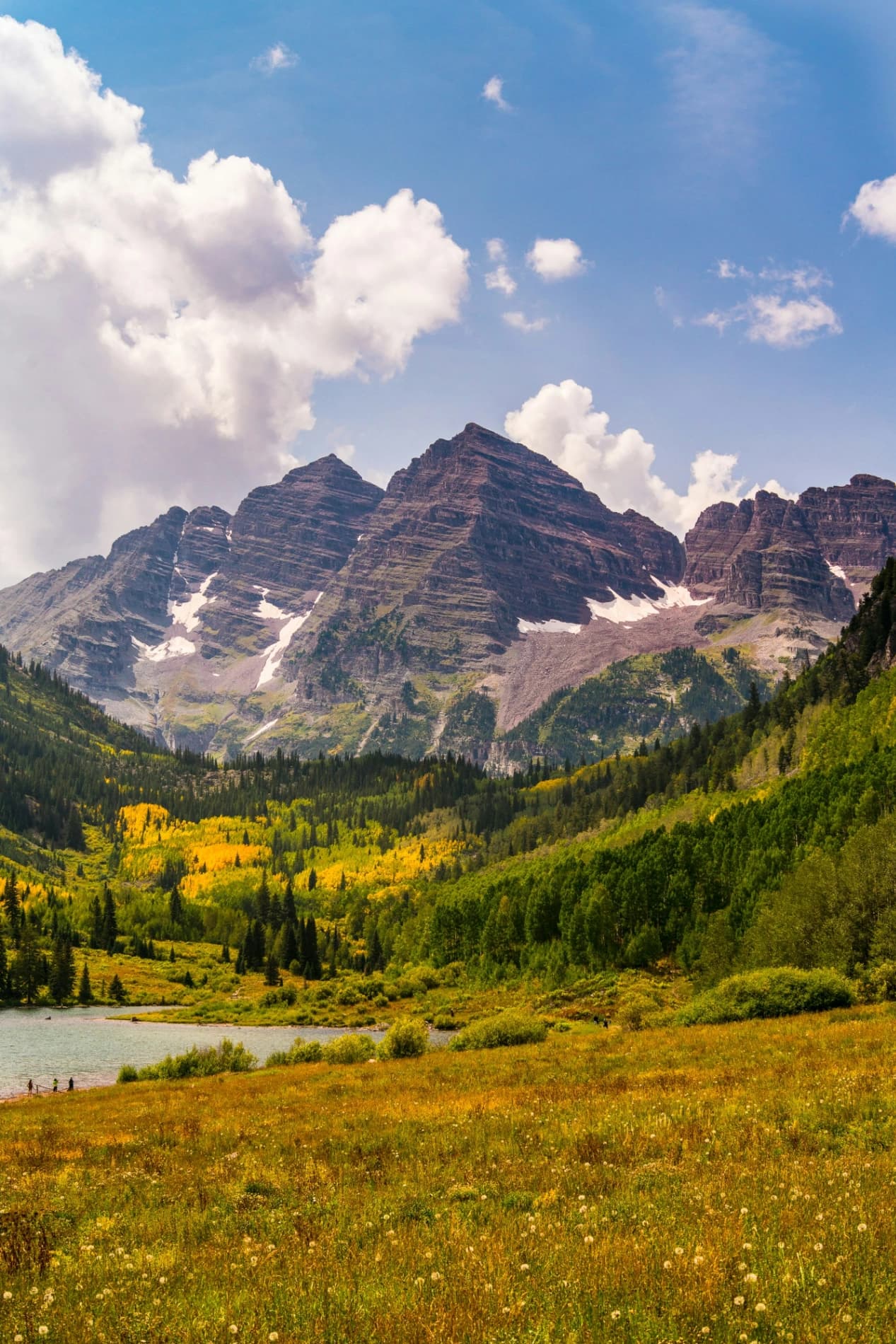 Founders' Cohort: Psilocybin Retreat for Founder/CEOs
