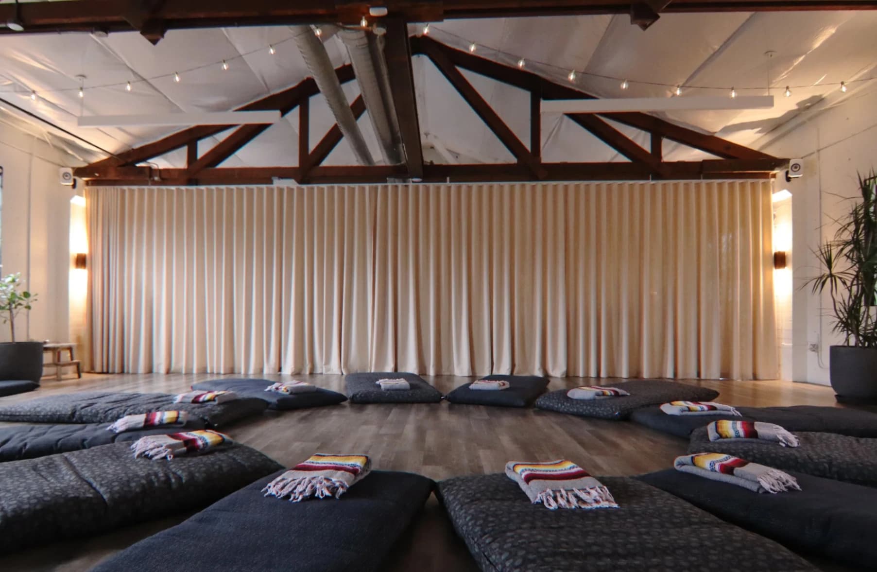 Mindful Self-Compassion + Psilocybin Journey