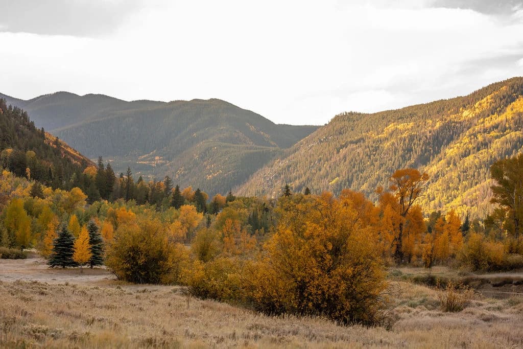 Psilocybin Retreat for Treatment-Resistant Conditions
