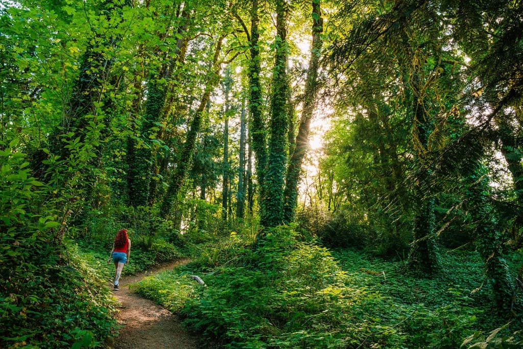 3 Night Couples Psilocybin Retreat