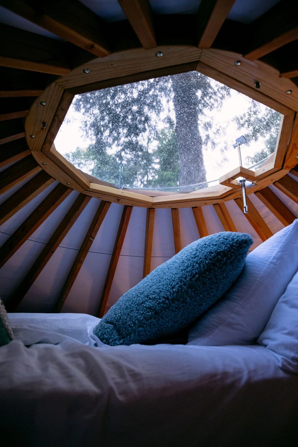 3 Night Couples Psilocybin Retreat