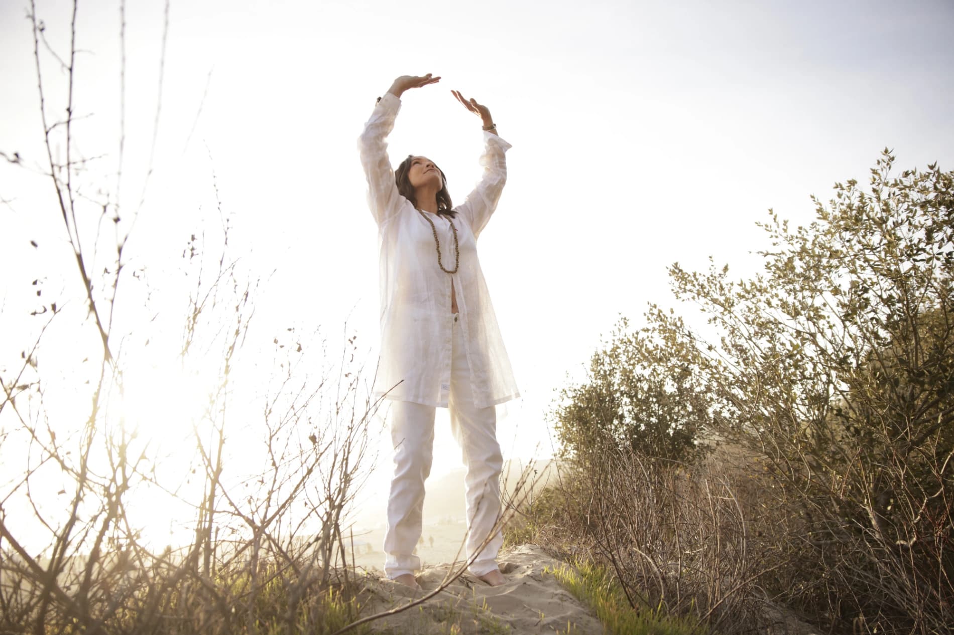 Psilocybin Journey for Deep Healing, Integration & Self-Trust