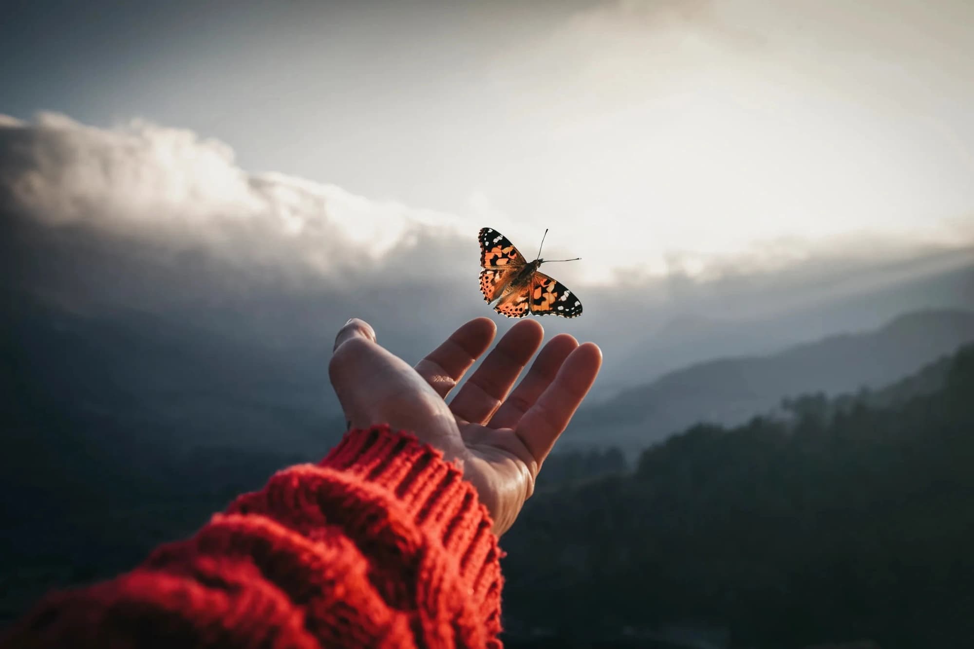 Holding Space for Grief: A Private Psilocybin Journey
