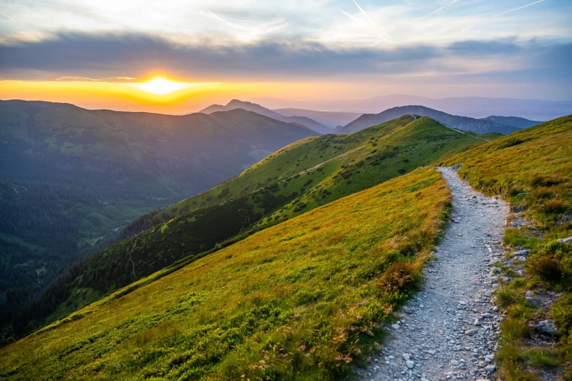 Holding Space for Grief: A Private Psilocybin Journey