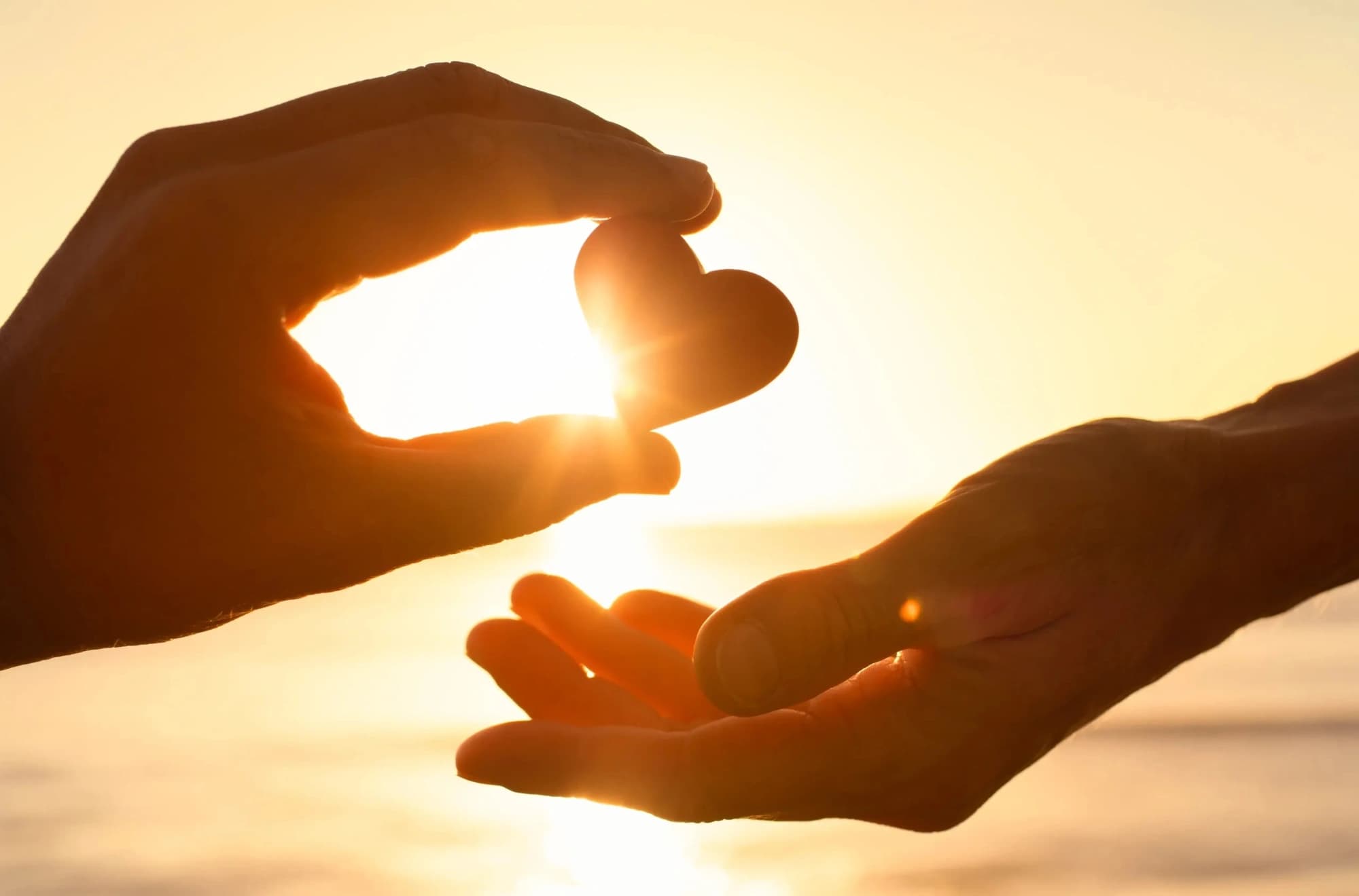 Holding Space for Grief: A Private Psilocybin Journey