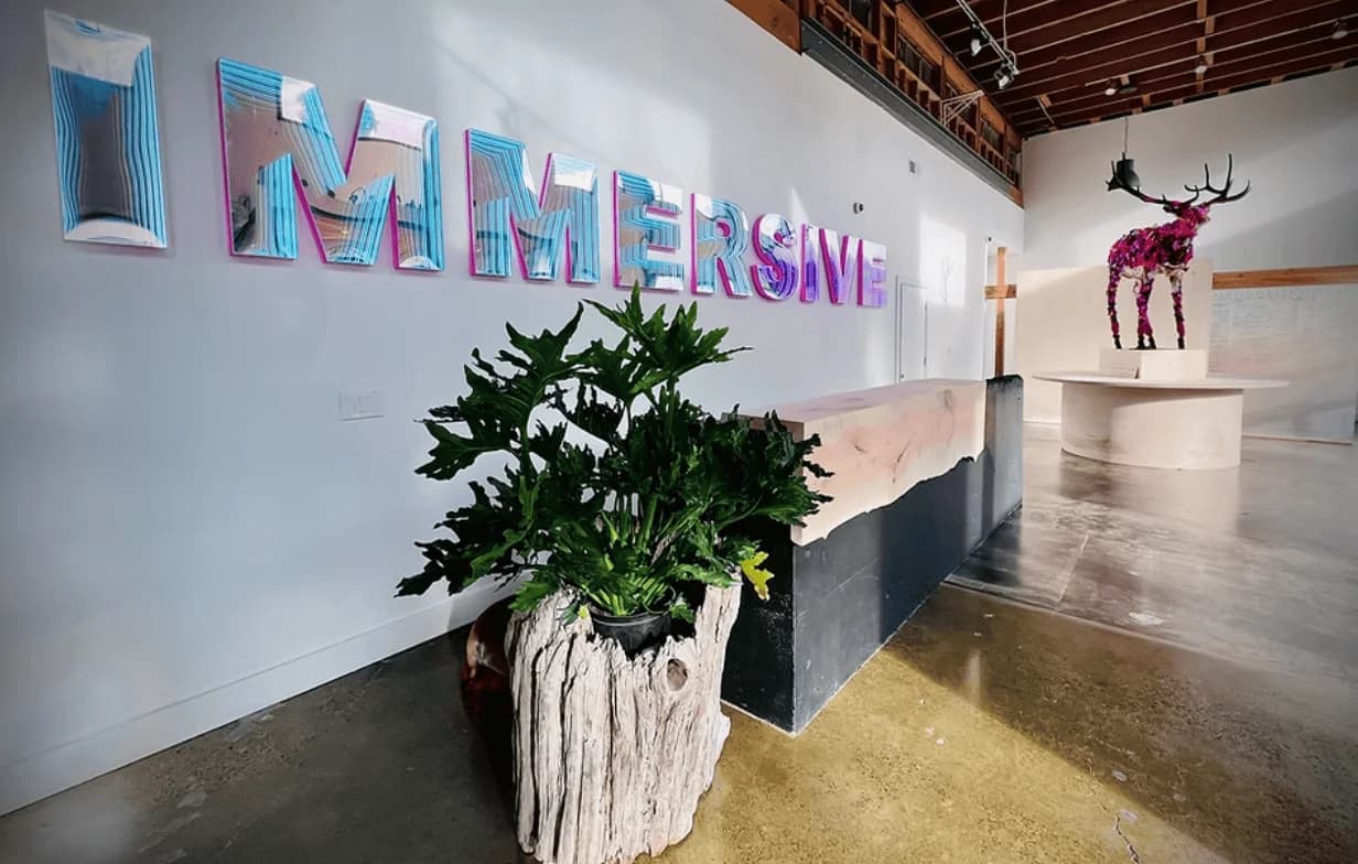 Immersive Therapies